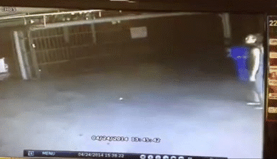 funny animated gif images to make you laugh all day
