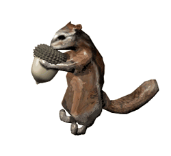 acorns animated gifs gifmania