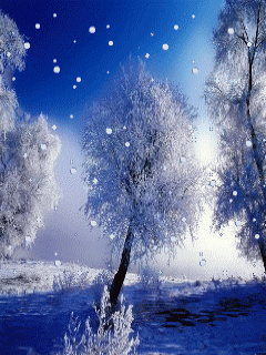 americans stand with israel music andre rieu schnee walzer