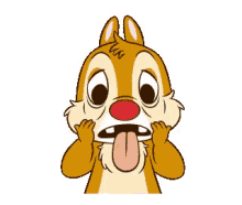 angry chipmunk gifs tenor