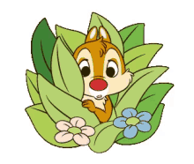 angry chipmunk gifs tenor