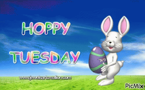 animated happy tuesday gifs tenor