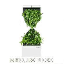 animated hourglass gifs tenor