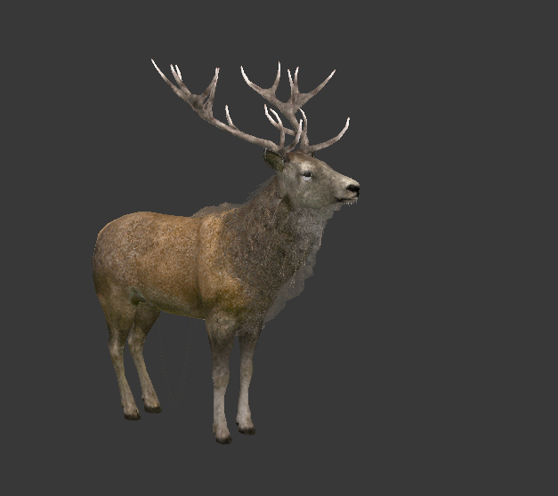 Deer Reverse Animation Gif Animated deer images & Animations 100% FREE!