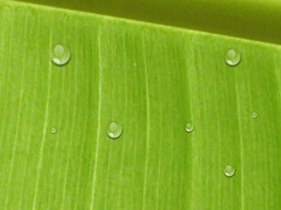 animated water drop desktop wallpaper free download and