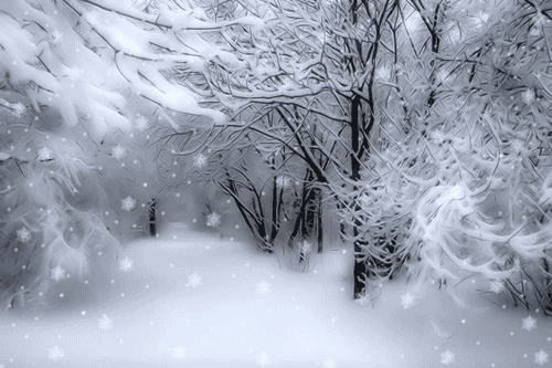 animated winter snow pictures photos and images for