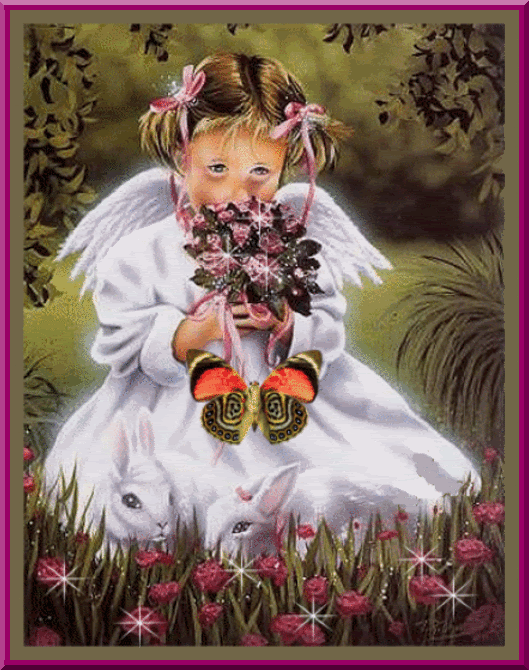 beautiful colorful pictures and gifs butterfly photos