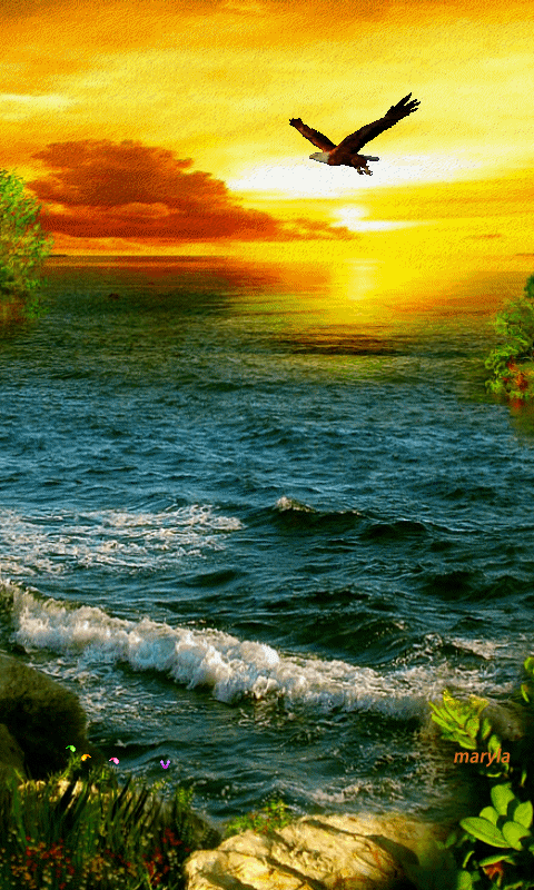 beautiful colorful pictures and gifs waterfall cascada