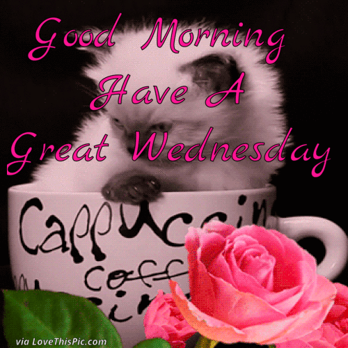 best happy wednesday morning images and messages erica