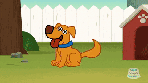 bingo gifs find share on giphy