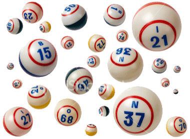 bingo gifs search find make share gfycat gifs