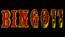 bingo gifs tenor