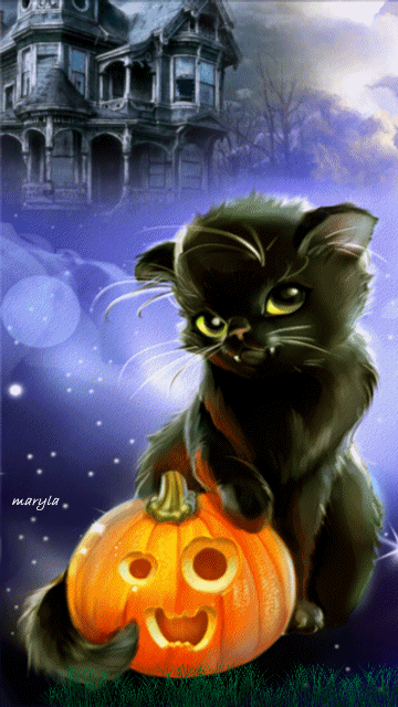 black cat animated gif halloween black cat haunted house