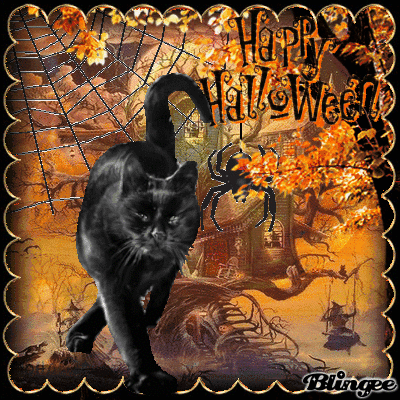 black cat happy halloween gif pictures photos and images