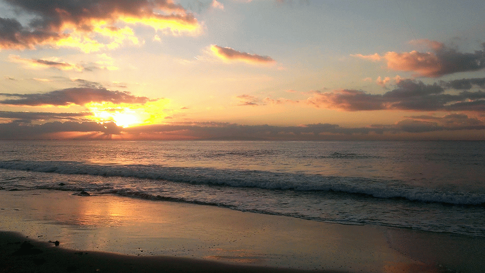 burger s fishing log sunrise surf fishing malibu