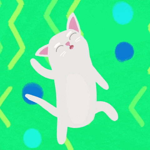 cartoon cat gifs find share on giphy