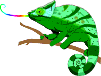chameleon gif find share on giphy