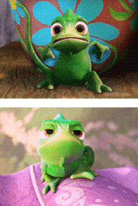 chameleon gif find share on giphy