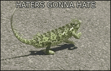 chameleon gifs wifflegif