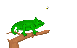 chameleon sticker for ios android giphy