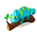 chameleons animated gifs gifmania