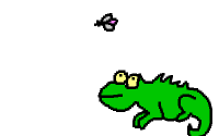 chameleons animated gifs gifmania
