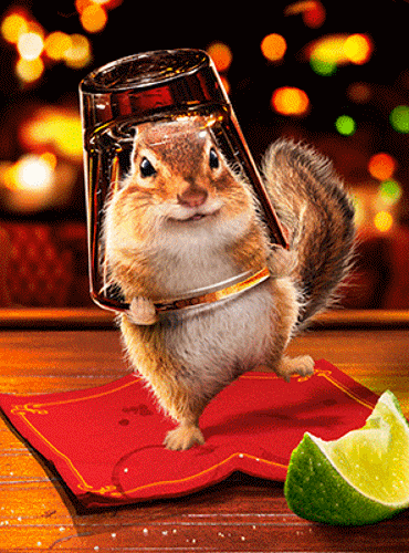chipmunk shot glass card envelope avanti lenticular