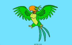 clip art and picture parrot bird cartoon