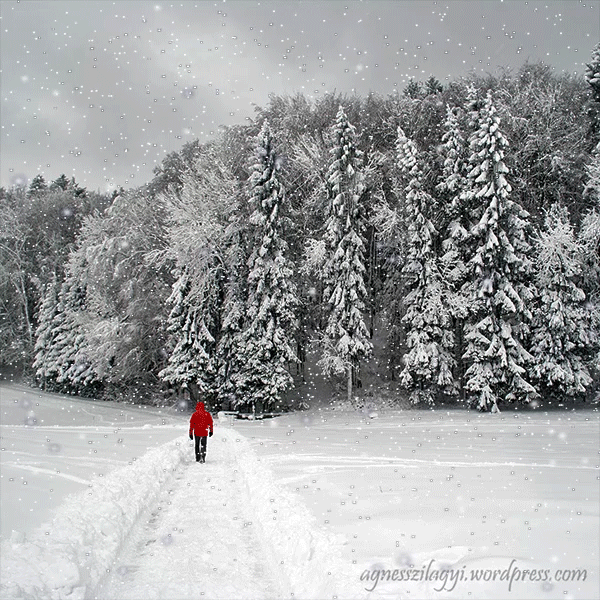 create animated falling snow images and words
