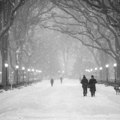 create animated falling snow in photoshop