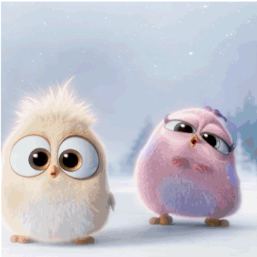 cute animated angry birds pictures photos and images for