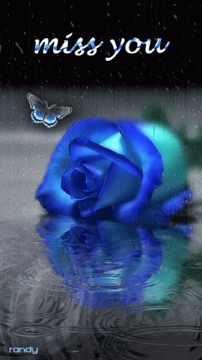 decent image scraps miss you