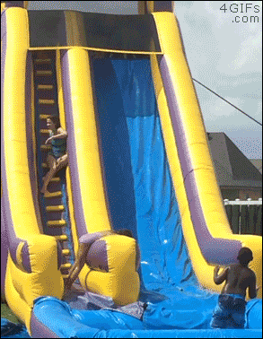 dog inflatable water slide