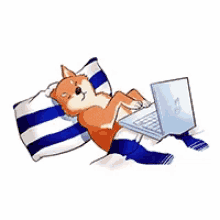 dog typing gifs tenor