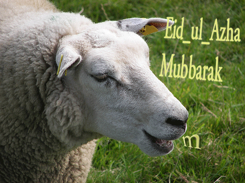 eid mubarak gif animated moving 3d glitter image for