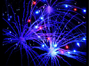 fourth of july reading writing between the wines blog