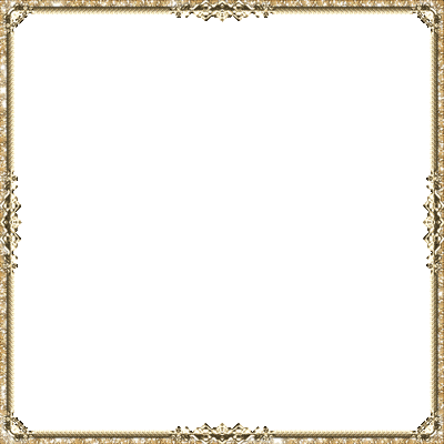frame cadre animated frame caree glitter