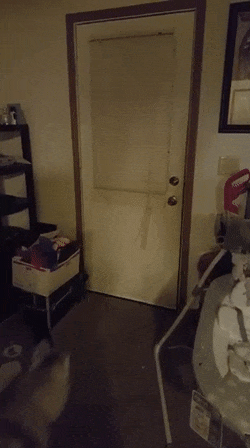 friday gif thread soon to be nsfw tigerdroppings com