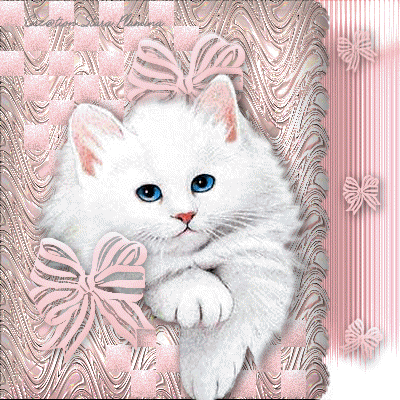 funny animal ecards vivecsharing