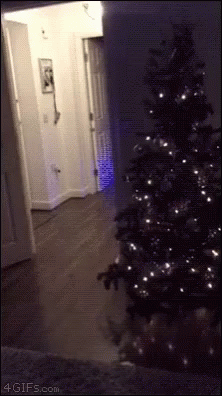 funny animated santa gifs tenor