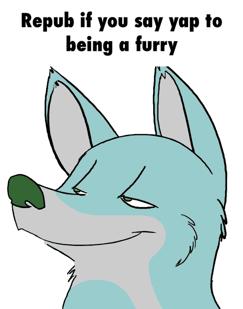 furry gif gif images download