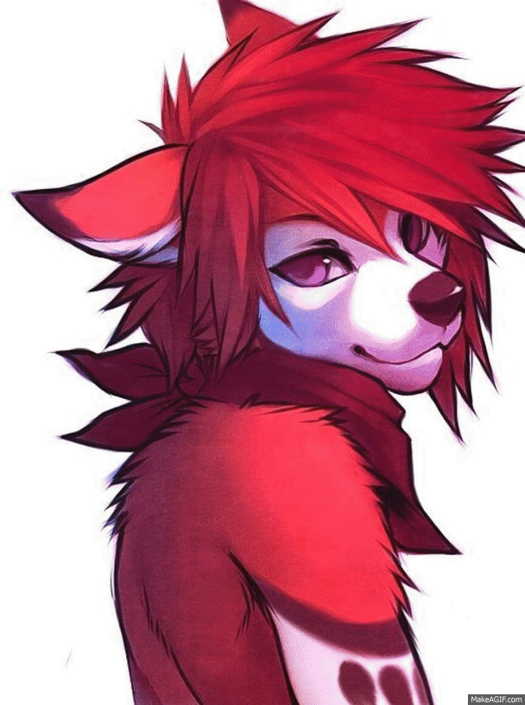furry gif on make a gif