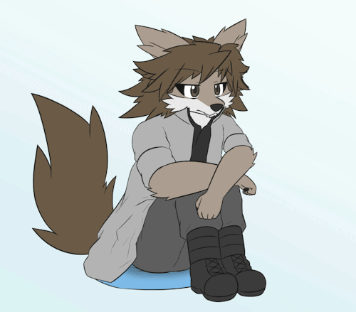 furry gifs tumblr