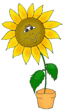 get well soon animated images gifs pictures