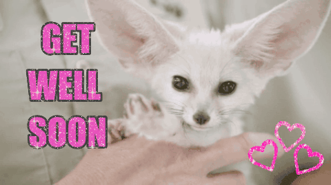 get well soon gifs find share on giphy