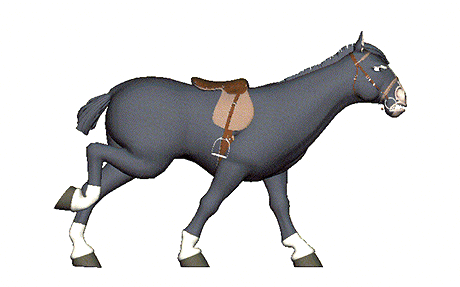 gif horse clipart best