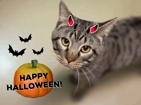 halloween gifs wifflegif
