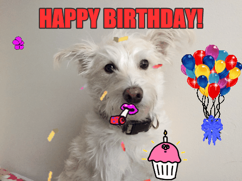 happy birthday images free happy birthday pictures