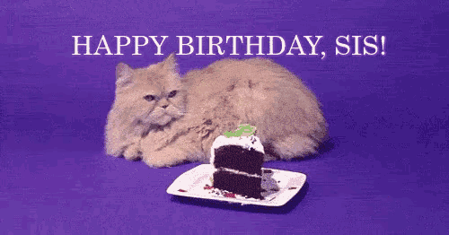 happy birthday sis happy birthday sister gif