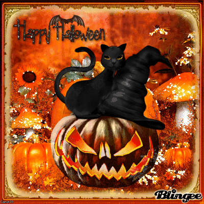 happy halloween black cat jack o lantern pictures